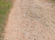 Jeritan Masyarakat Meraung Mohon Pemerintah Pusat Pertimbangkan Keputusan Penghentian DAK Fisik Di Tapanuli Utara