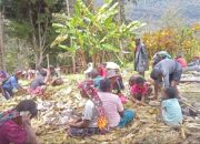 Presiden Prabowo Pasti Jamin Keamanan, Masyarakat Dukung Pembangunan Jalan