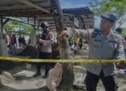 Krisis Keamanan Nabire Kian Memburuk: Empat Serangan Brutal dalam Sebulan, DPRK Desak Respons Cepat Provinsi Papua Tengah