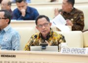 Optimalkan Pelayanan Publik, Mendagri Tekankan Pentingnya Penguatan Kapasitas dan Dukungan terhadap Kepala Daerah