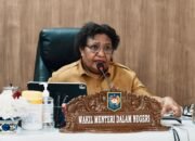 Wamendagri Ribka Haluk Minta Pemda Perkuat Pencegahan Karhutla Sejak Dini