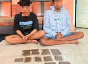 Polres Maybrat Ungkap Peredaran Ganja, Dua Orang Diamankan, Barang Bukti 162 Gram Disita